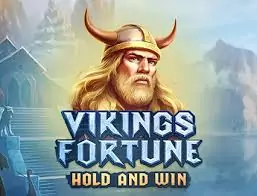 Vikings Fortune: Hold and Win играть онлайн