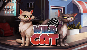 Wild Cat играть онлайн