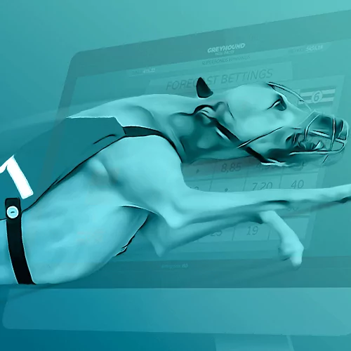 Greyhound Races играть онлайн