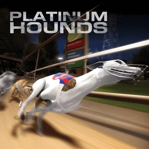 Dogs (Platinum Hounds)