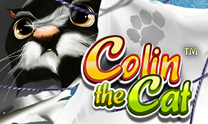 Colin The Cat играть онлайн