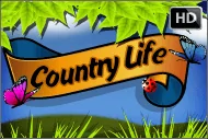 Country Life HD играть онлайн