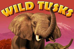 Wild Tusks играть онлайн