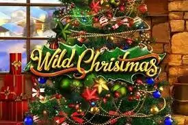 Wild Christmas играть онлайн