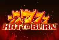 Hot to Burn играть онлайн