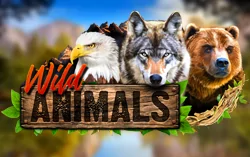 Wild Animals играть онлайн