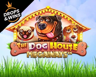 The Dog House Megaways играть онлайн