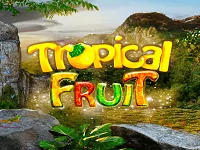 Tropical Fruit играть онлайн