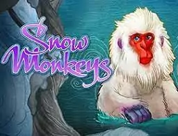 Snow Monkeys играть онлайн