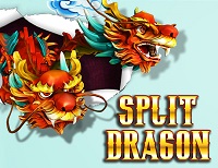 Split Dragon играть онлайн
