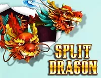 Split Dragon