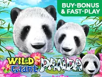 Wild Giant Panda играть онлайн