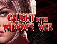 Caught in the Widows Web играть онлайн