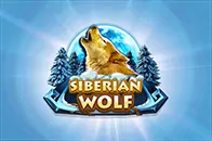 Siberian Wolf играть онлайн