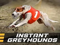 Instant Greyhounds играть онлайн