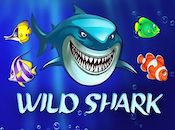 Wild Shark играть онлайн