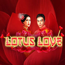 Lotus Love играть онлайн
