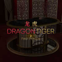 First Person Dragon Tiger играть онлайн
