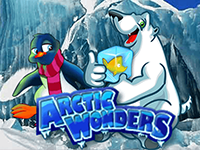 Arctic Wonders играть онлайн