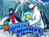 Arctic Wonders играть онлайн