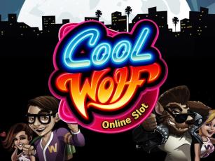 Cool Wolf играть онлайн