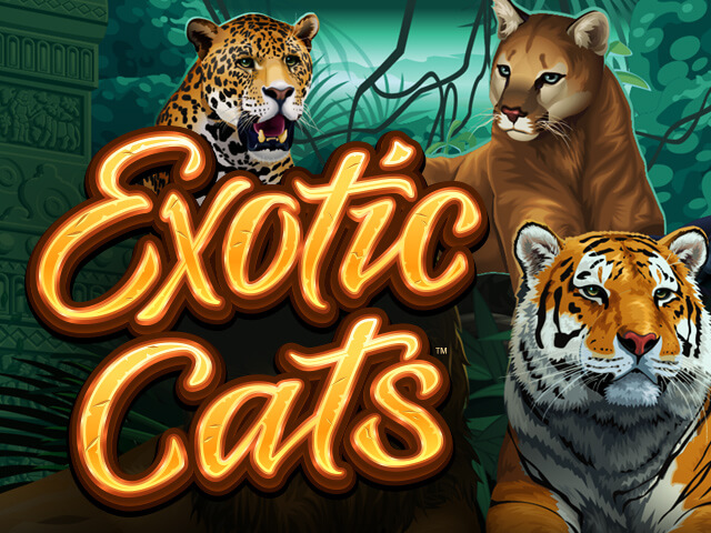 Exotic Cats играть онлайн