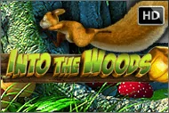 Into The Woods HD играть онлайн