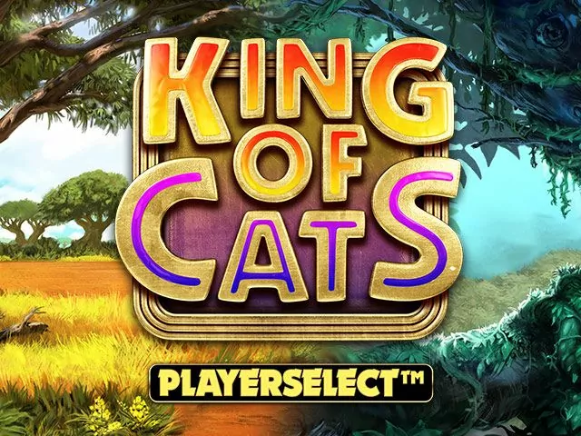 King of Cats играть онлайн