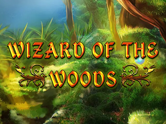 Wizard of the Woods играть онлайн