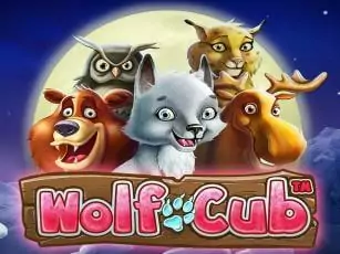 Wolf Cub играть онлайн